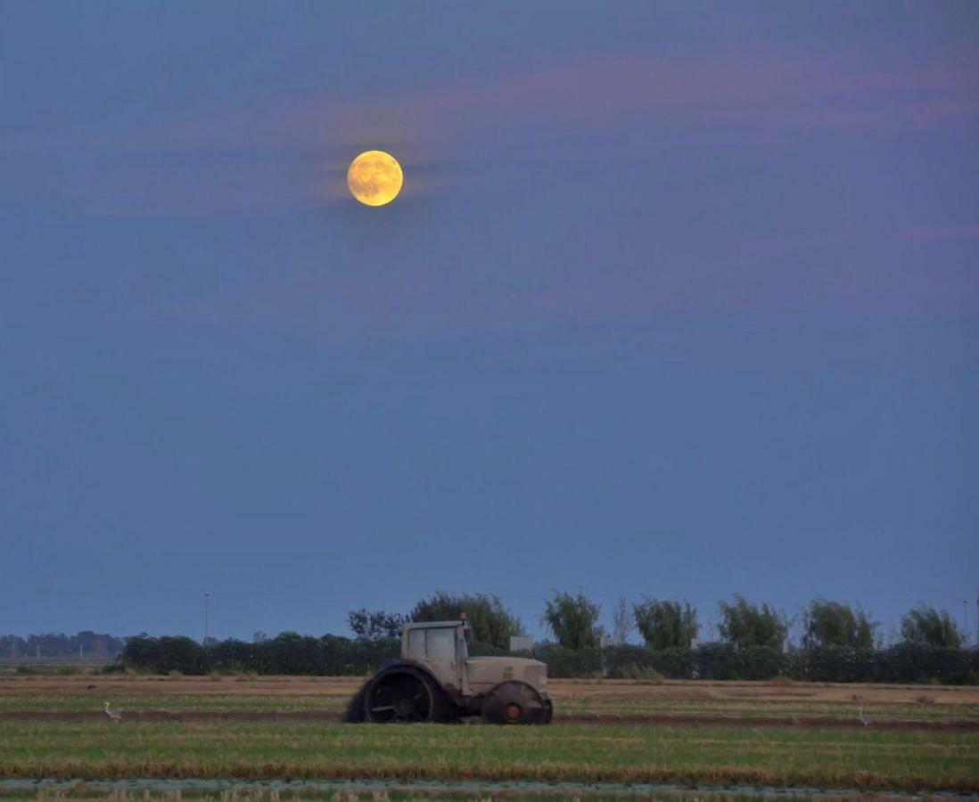 L' Espiga - Casa Rural Deltebre Buitenkant foto